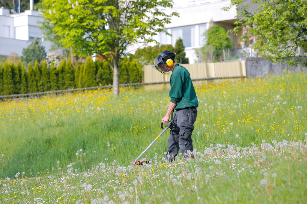 Gärtner in Schutzbekleidung mäht eine blühende Wiese