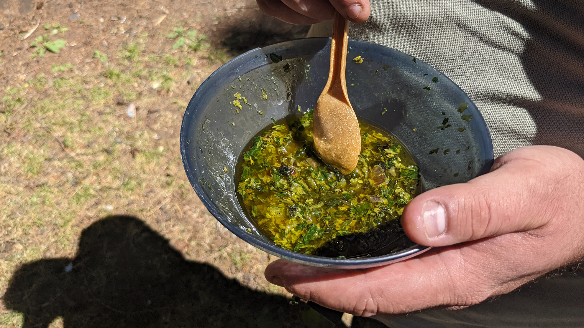 Schüssel mit selbst zubereiteter Wald-Pesto